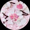 ladychicatelier